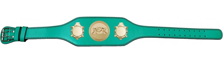 GRAPPLING CHAMPIONSHIP BELT-BUD003/G/GRAPG-4 COLOURS